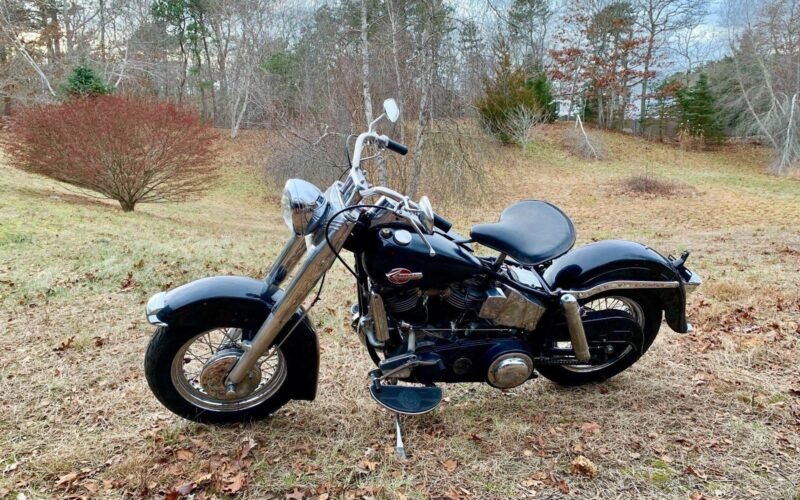 Panhead-fl-duo-glide